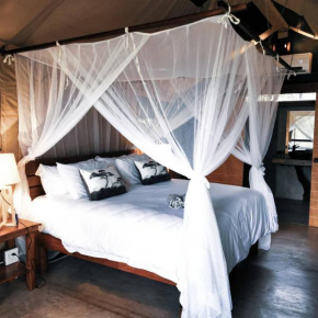 Little Africa Safari Lodge